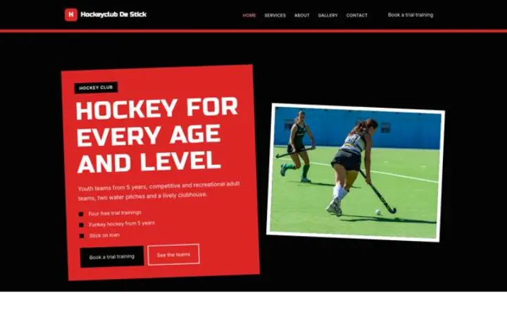 Web para club de hockey