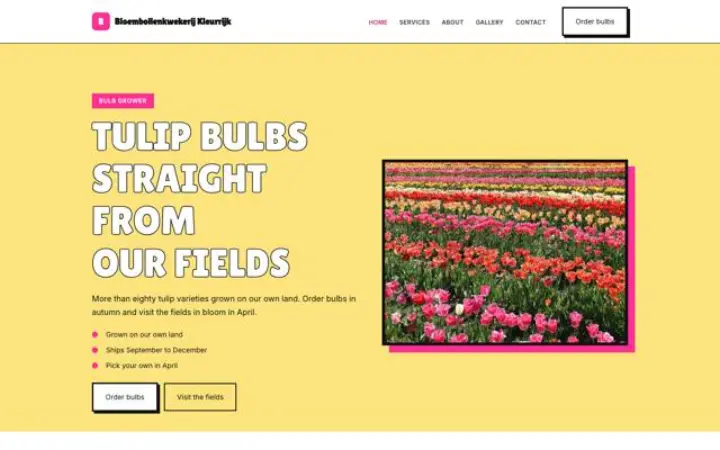 Tema Bloembollenkwekerij Kleurrijk