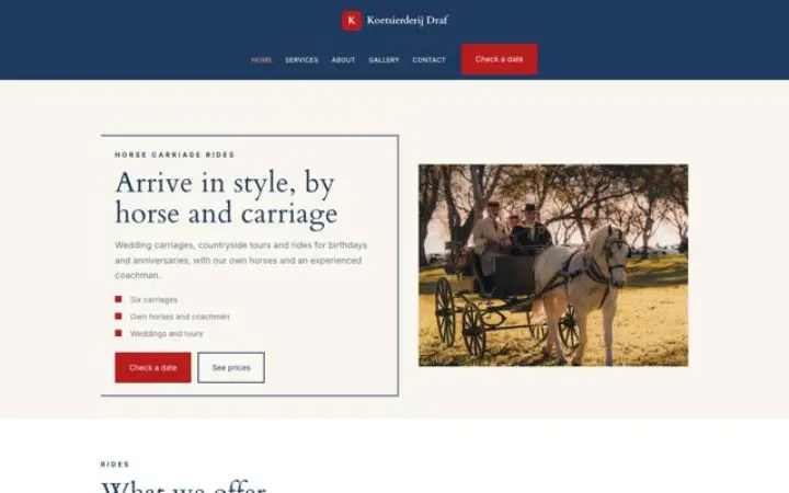 Web para paseos en coche de caballos